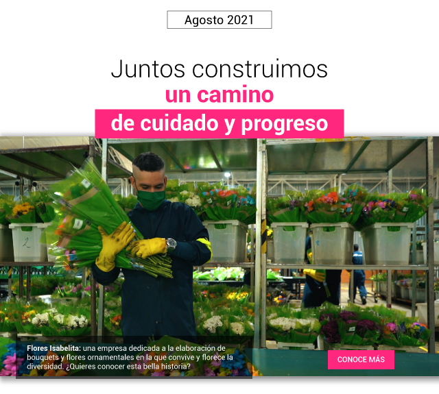 Imagen Imagen
